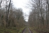 Forêt d'Ermenonville